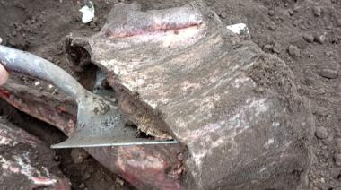 Misterio: secuestraron carne de 8 Novillos, los dueños quisieron verificar la quema, y sólo aparecieron restos de uno