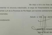 Terremoto en LLA Río Negro: Román se va por las acusaciones de narcotráfico contra Villaverde