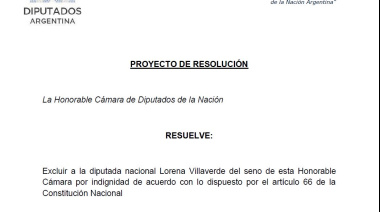 Facundo Manes impulsa la expulsión de Lorena Villaverde de la Cámara de Diputados