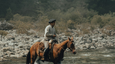 Un trabajador rural se cayó de su caballo y la Justicia hizo responsable a la ART por las lesiones sufridas
