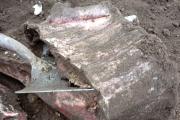 Misterio: secuestraron carne de 8 Novillos, los dueños quisieron verificar la quema, y sólo aparecieron restos de uno
