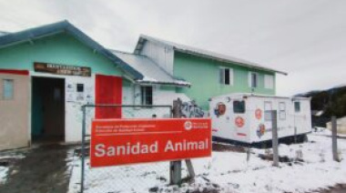 Comenzó una nueva campaña de castraciones masivas gratuitas en Bariloche