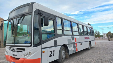 Chofer "experto" atraviesa lomo de burro a toda velocidad y le cuesta millones a su empresa