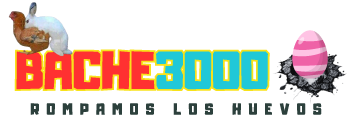 Bache3000