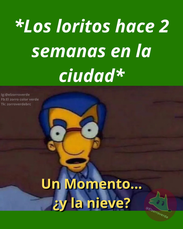 Memeditorial