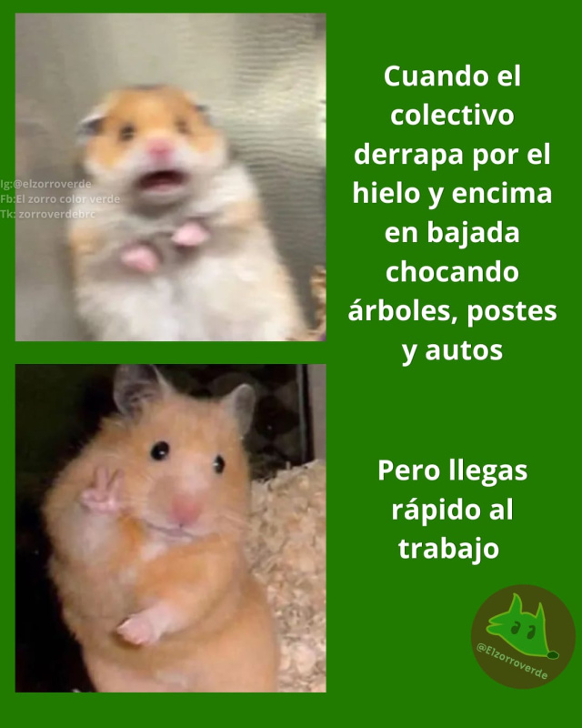 Memeditorial