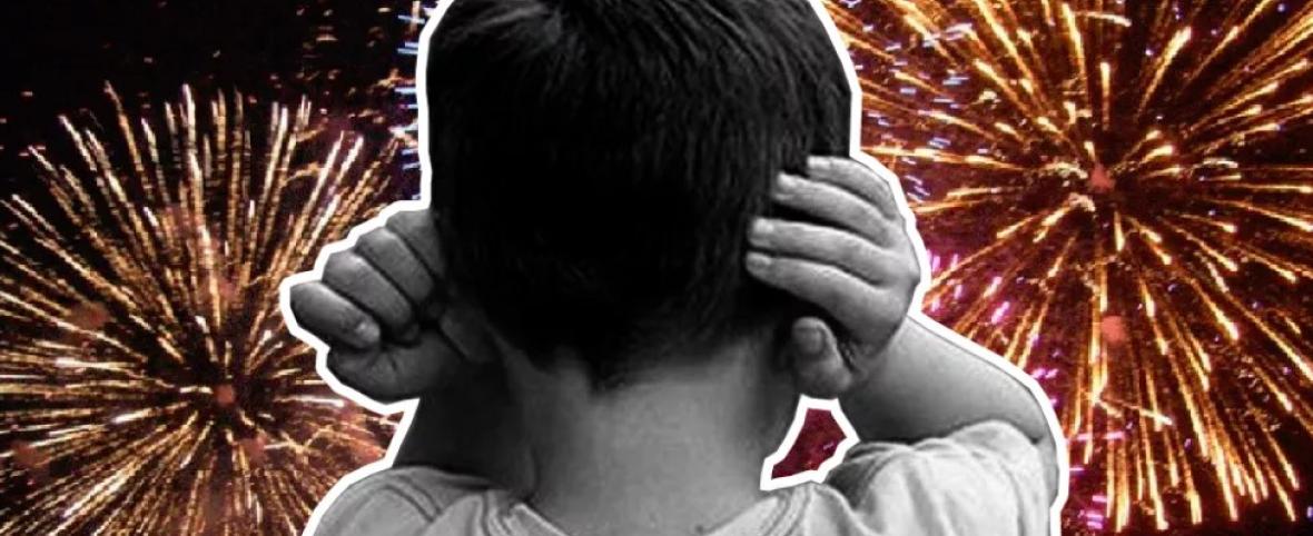 El Concejo aprobó por unanimidad la prohibición total del uso de pirotecnia