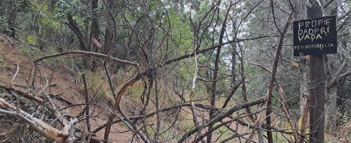 Cerro Otto: alambres de púas, amenazas y una vecina fuera de su propia casa