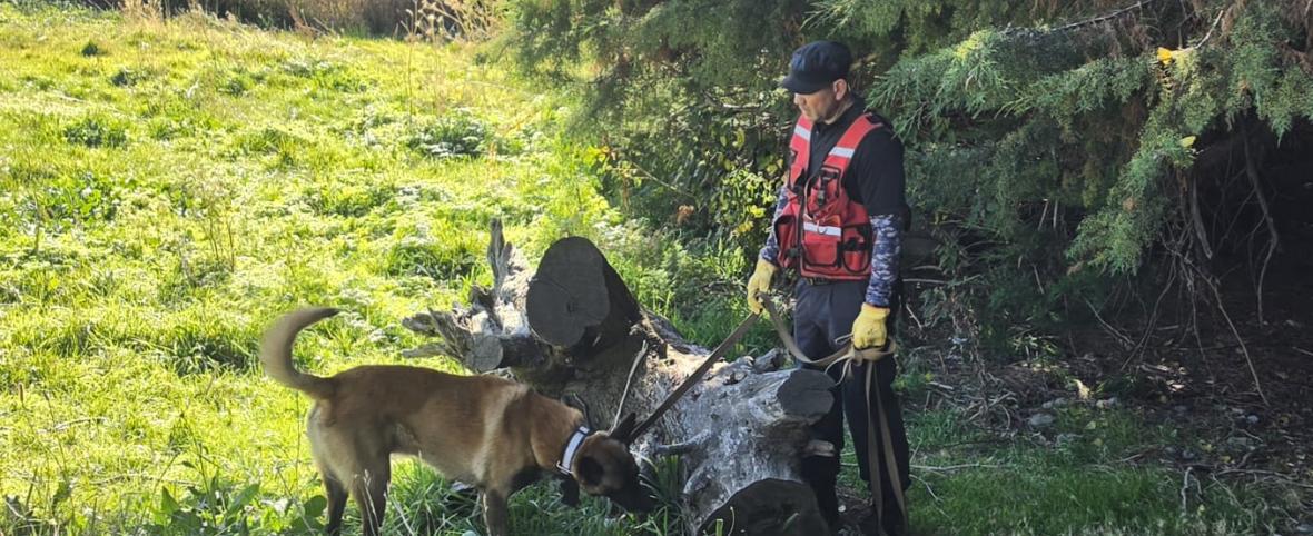 Rastrillajes en La Cascada y el kilómetro 12: el operativo para encontrar a Analía suma fuerzas y amplía los sectores