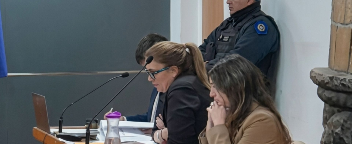 Marín no atropelló, decidió matar: por qué los fiscales descartaron el siniestro vial