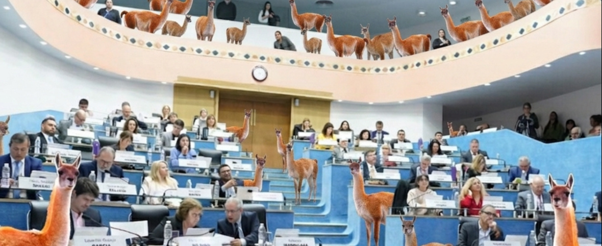 ¿De la meseta a las góndolas? Río Negro, a un paso de habilitar la caza y venta de carne de guanaco