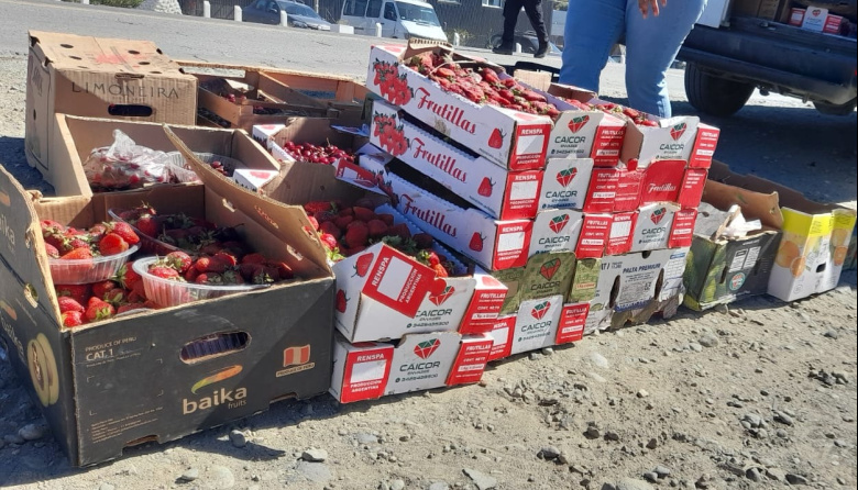 Secuestran mercadería sin documentación en control de Ruta 40 Sur