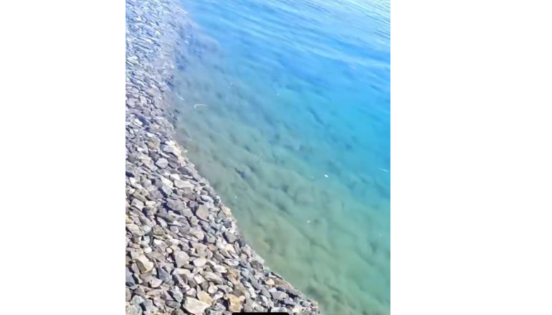 (Video) Las orillas del lago Mascardi desaparecen ante los ojos de un testigo