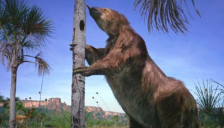 Hallaron restos de un megaterio de 16.000 años en la costa del lago Nahuel Huapi