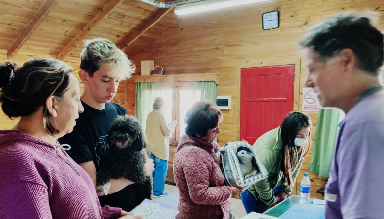 Sanidad Animal castró 112 animales en el Omega y avanza con un estudio inédito sobre brucelosis canina