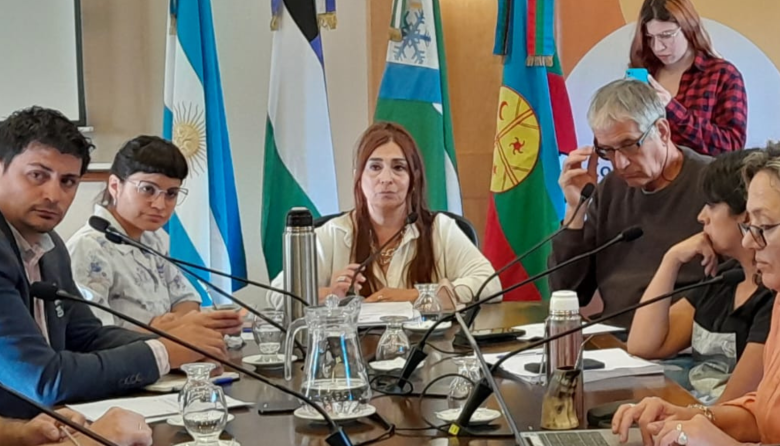 Ferreyra repudió la agresión de un chofer de Mi Bus a un estudiante: "no puede seguir en funciones como si nada"