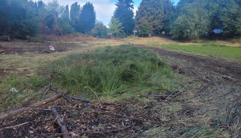 ​​​​​​​Una retroexcavadora en el corazón de la Laguna Fantasma: "el destrozo en un área intangible"