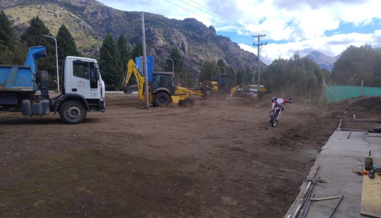 Dame una colectora: tomá la colectora