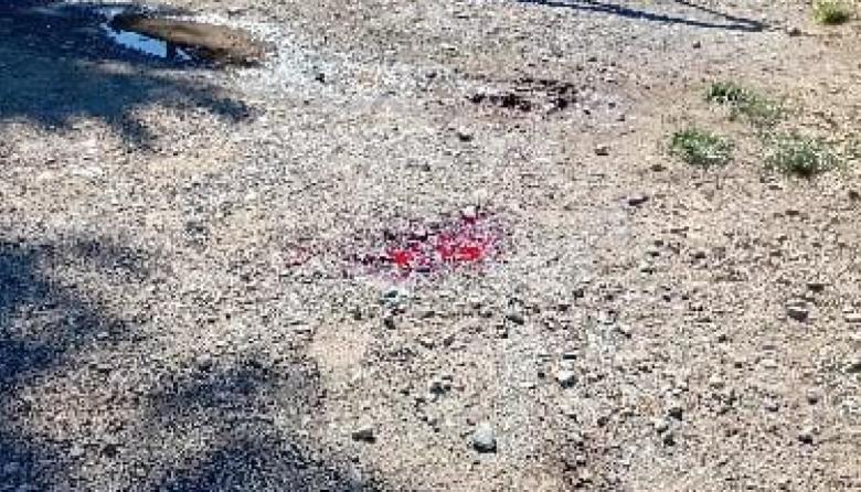 Un joven de 18 años murió apuñalado a metros del hospital Ramón Carrillo