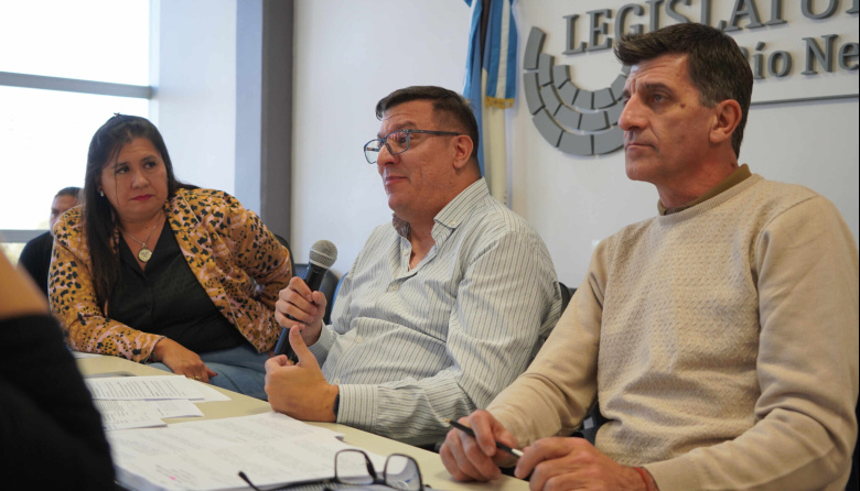 La Legislatura rionegrina avanza hacia una política carcelaria propia y más estricta que la nacional