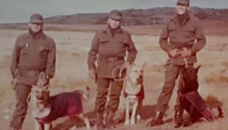 Los perros que también fueron a Malvinas