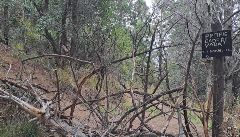 Cerro Otto: alambres de púas, amenazas y una vecina fuera de su propia casa