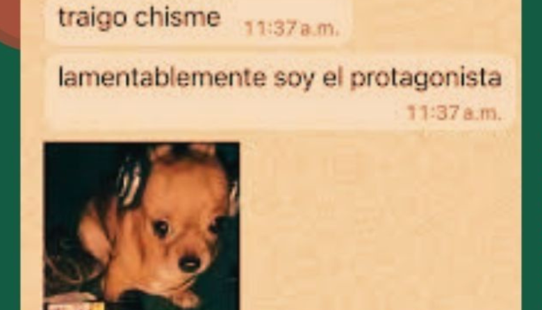 Cómo sumarse al ciclo que les da a los jóvenes barilochenses un lugar para hablar sin filtros