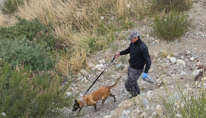 La búsqueda de Analía Corte llega a la ruta de Circunvalación: se realiza un rastrillaje en el sector del Gauchito Gil