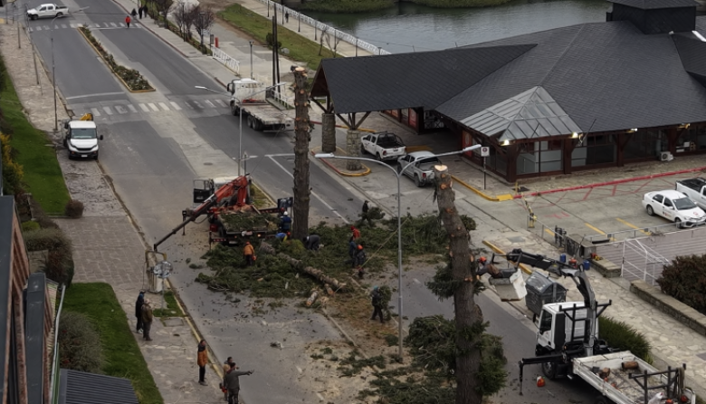 Continúan los trabajos sobre Avenida 12 de Octubre: habrá reducción en la circulación hasta la tarde