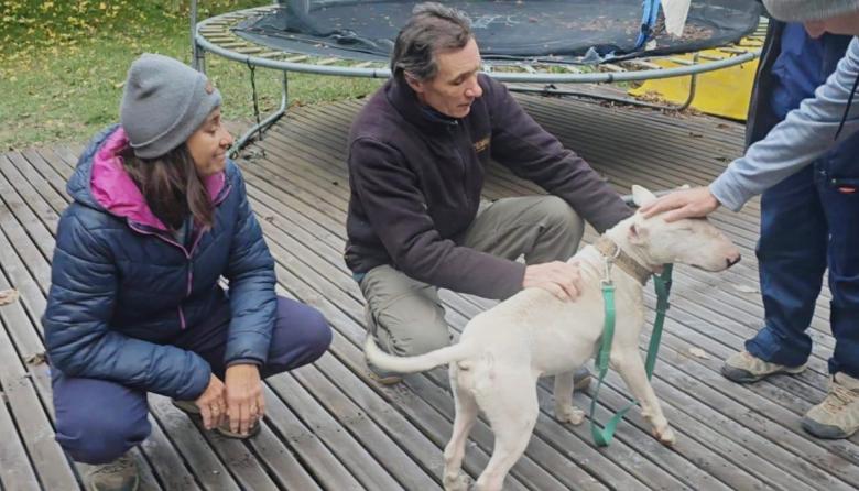 Rocky, el perro que no quería ser malo, encontró hogar