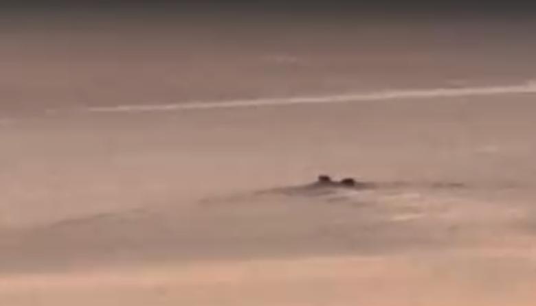 Un misterioso movimiento en el lago reavivó el mito más viejo de Bariloche