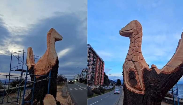 "¿Se podrá al menos respetar su muerte?": el lapidario descargo de una bióloga  por los árboles de la costanera