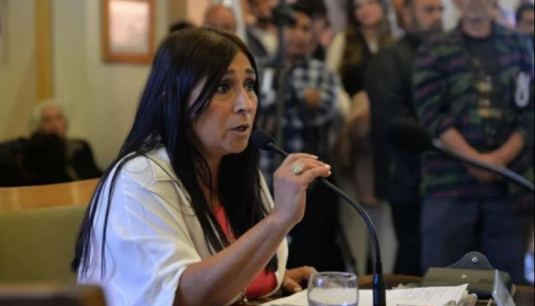 Roxana Ferreyra renunció al Consejo Consultivo de Personas con Discapacidad