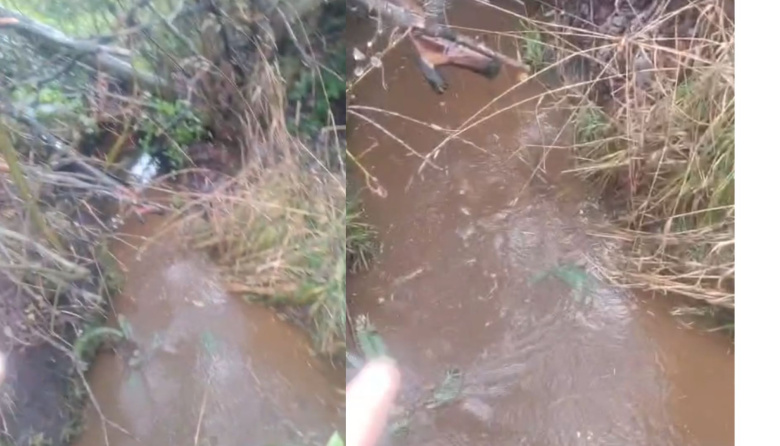 Destaparon un desagüe pluvial en barrio Don Bosco que arrastraba líquidos cloacales hacia el lago