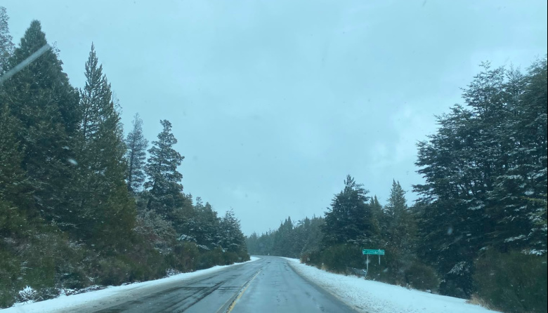 Cómo está la ruta Juan Herman (ex ruta 40) entre Bariloche y El Bolsón
