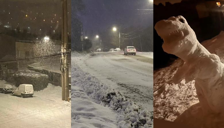 Bariloche bajo la nieve: cortes de ruta, suspensión de clases y sal para las calles