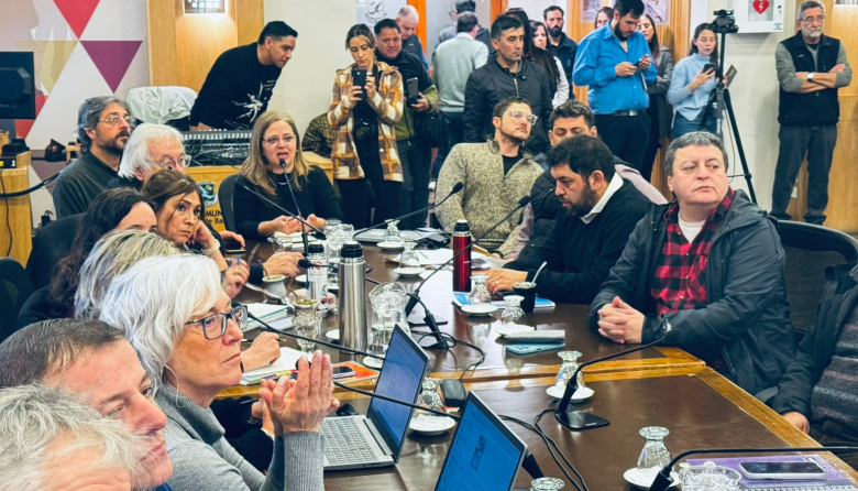 Carta Orgánica de Bariloche: la Comisión Especial lanza talleres y encuestas vecinales