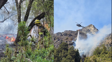 Argentina declara emergencia agropecuaria en Bariloche y la región, tras devastadores incendios forestales