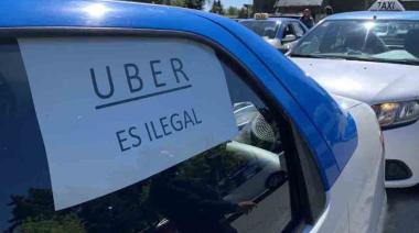 Taxis de Bariloche: Entre el Nahuel Huapi y Silicon Valley