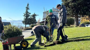 Universidad Nacional de Río Negro dona arrayanes para forestar el Centro Cívico de Bariloche