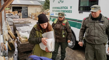 Secuestran fósiles marinos de 160 millones de años en una empresa de Bariloche
