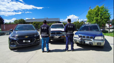 Ingresaron a la verificación vehicular para tenerlos papeles en orden pero sus rodados quedaron retenidos por pedidos de captura