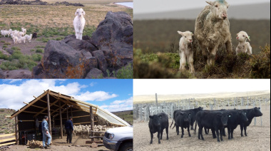 Curso de posgrado sobre sistemas agroecológicos de producción rumiantes