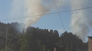 (Video) Controlaron incendio de interfase en el predio del gimnasio de la Universidad del Comahue