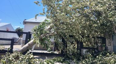 Viento, dile a la lluvia...