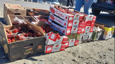 Secuestran mercadería sin documentación en control de Ruta 40 Sur