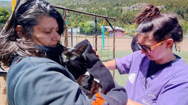 Nueva campaña antirrábica gratuita recorrerá los barrios de Bariloche