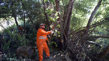 El municipio anunció tareas preventivas en La Barda después del incendio forestal
