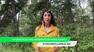 Alerta extrema por incendios: Bariloche en altera máxima y el Valle Inferior con fuego en 1.700 hectáreas