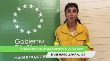 Río Negro contra el fuego: qué dice el parte provincial sobre los incendios